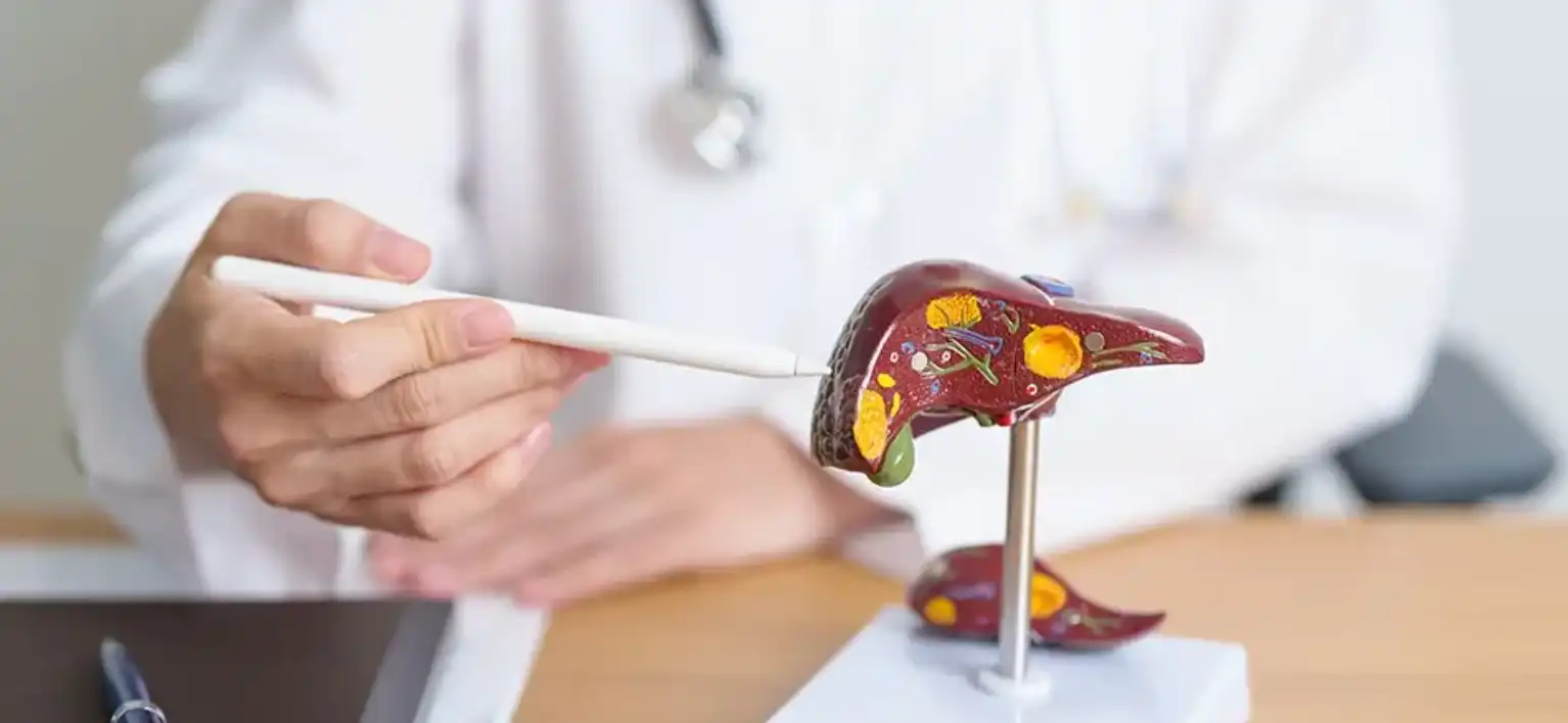 Karaciğer yağlanması alarm veriyor: Sessiz salgın büyüyor  Şeker karaciğeri vuruyor: Her 2 kişiden 1’i risk altında