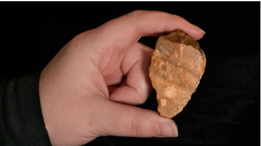 Harvard Tıp Fakültesi'nde yapılan araştırma, yeterli lityum düzeyinin yaşa bağlı beyin değişikliklerini yavaşlatabileceğini ortaya koydu