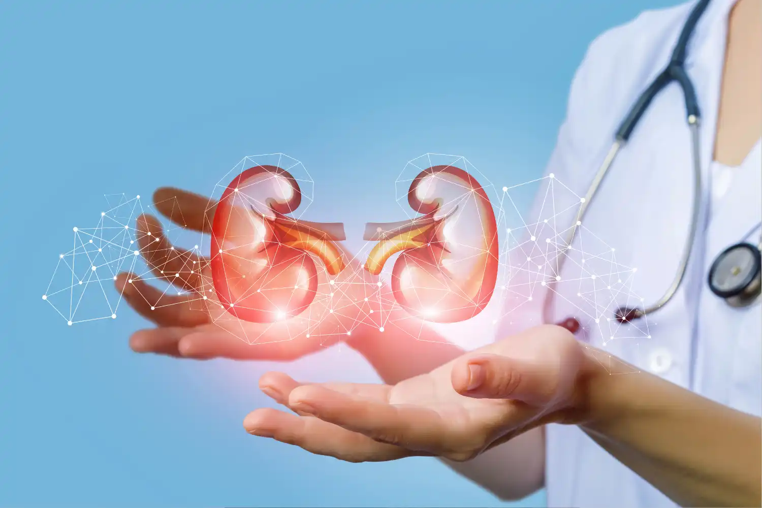 Evrensel böbrek ile organ uyumsuzluğuna son