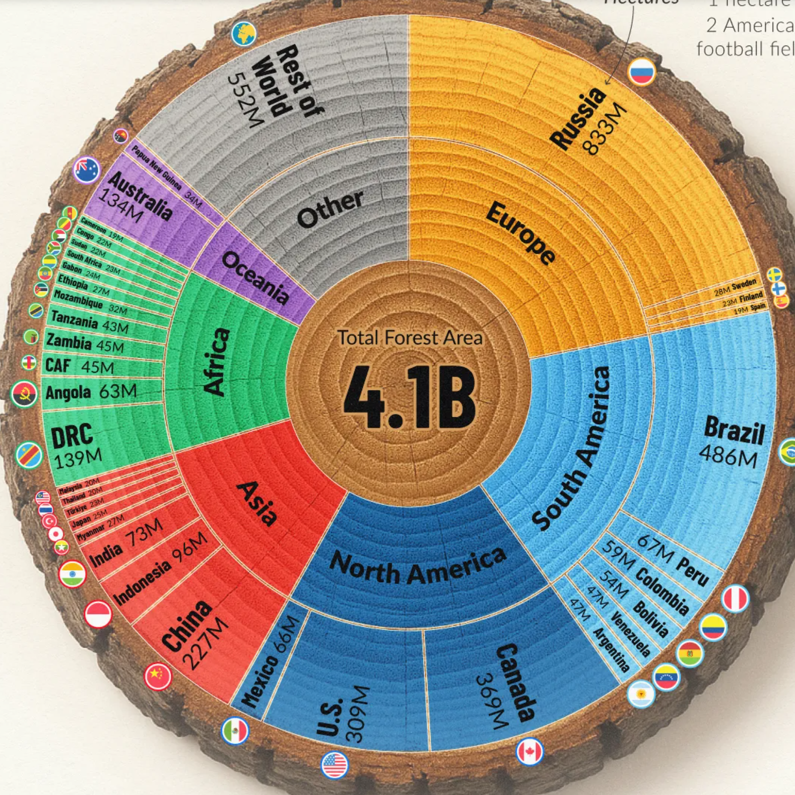 Dünya ormanlarının yarısı sadece beş ülkede yoğunlaşıyor