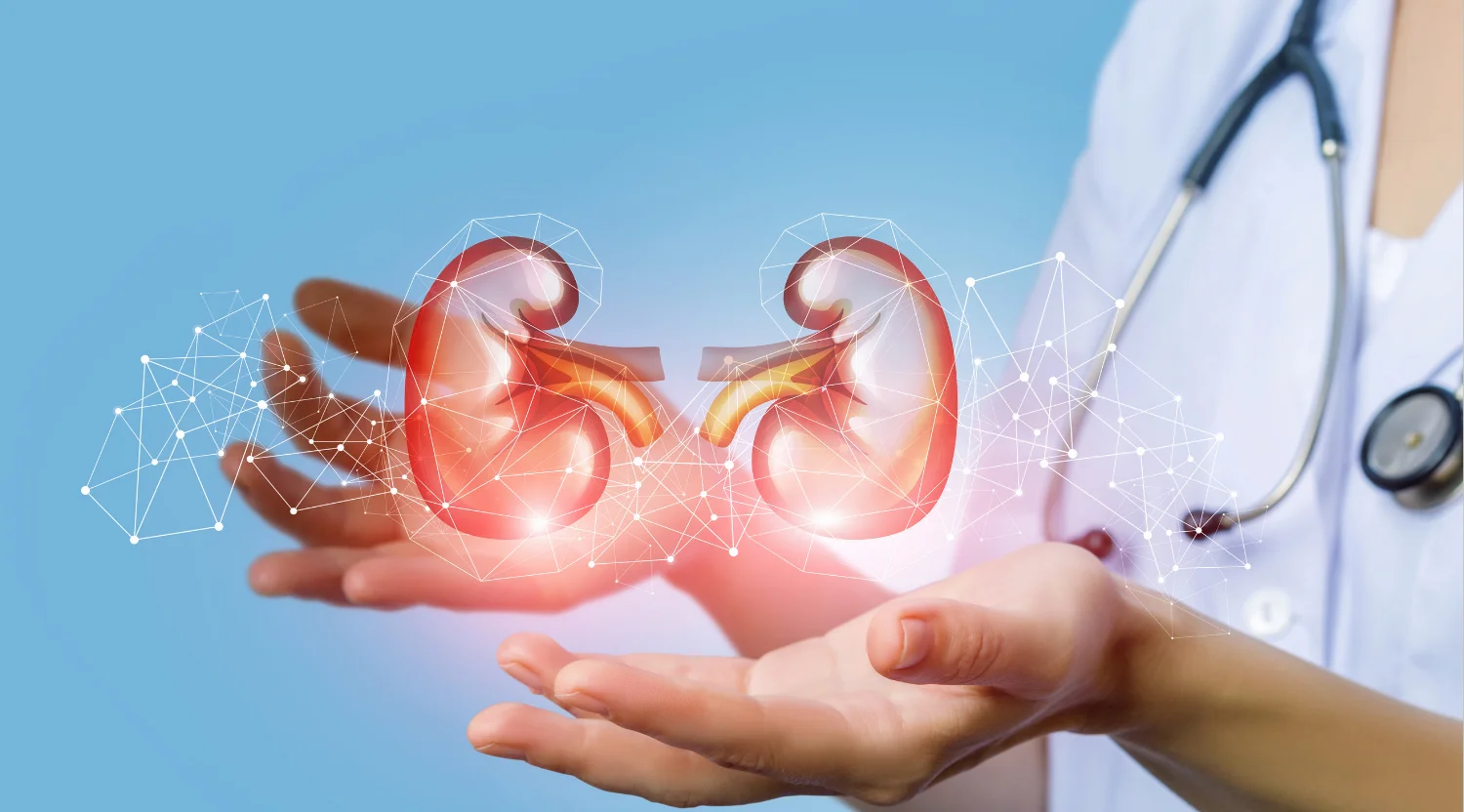 Evrensel böbrek ile organ uyumsuzluğuna son